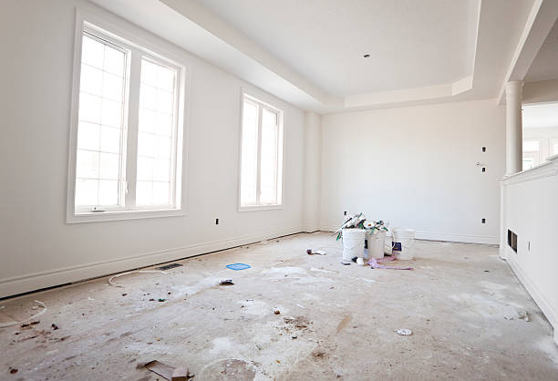 Best Black Mold Removal  in Burnsville, MN