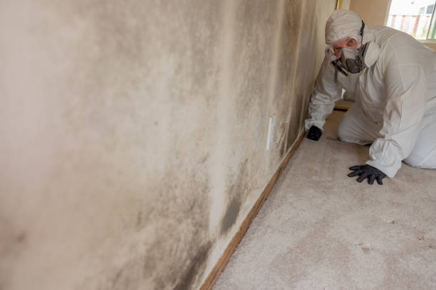 Best Indoor Air Quality Assessment  in Burnsville, MN
