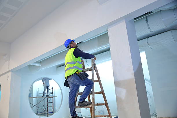 Best Basement Mold Removal  in Burnsville, MN