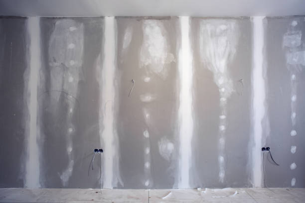 Best Mold Remediation for Healthcare Facilities  in Burnsville, MN